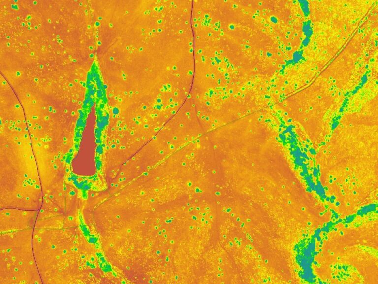 terradrone-ndvi